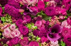 Doğa Çiçekçilik – Ağrı Çiçek Siparişi