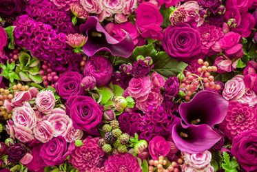 Doğa Çiçekçilik - Ağrı Çiçek Siparişi